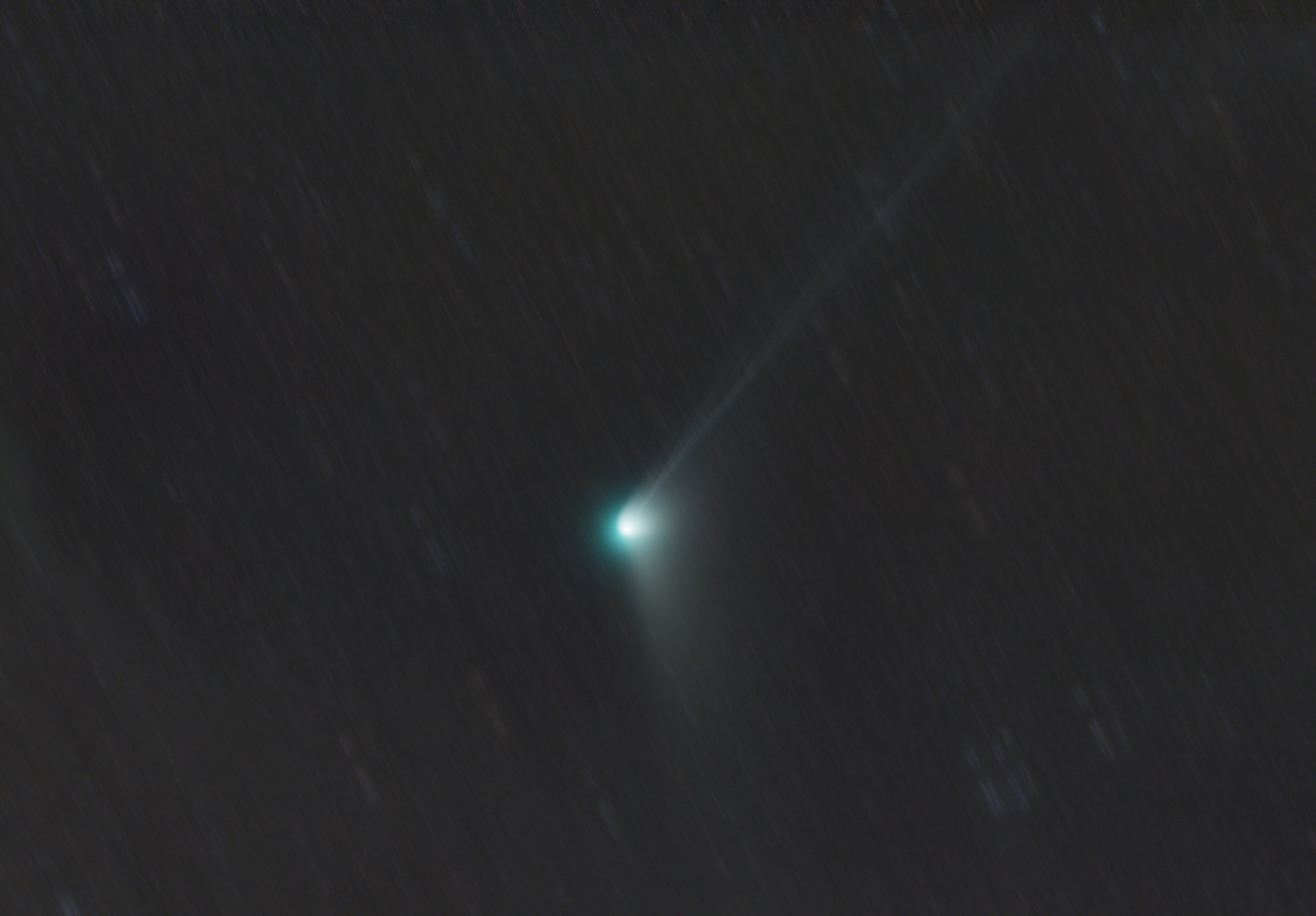 Comet C/2021 A1